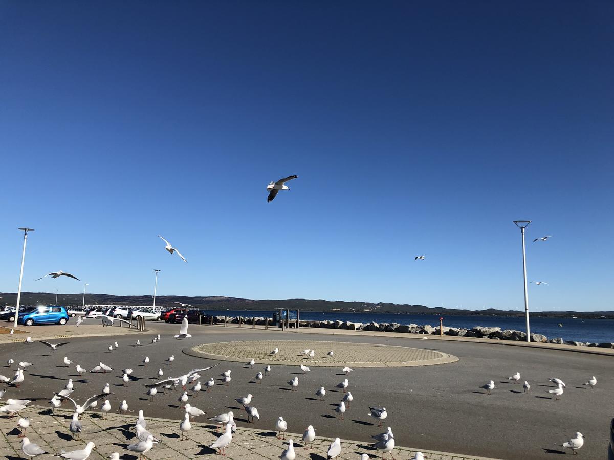 Albany Foreshore Guest House Экстерьер фото