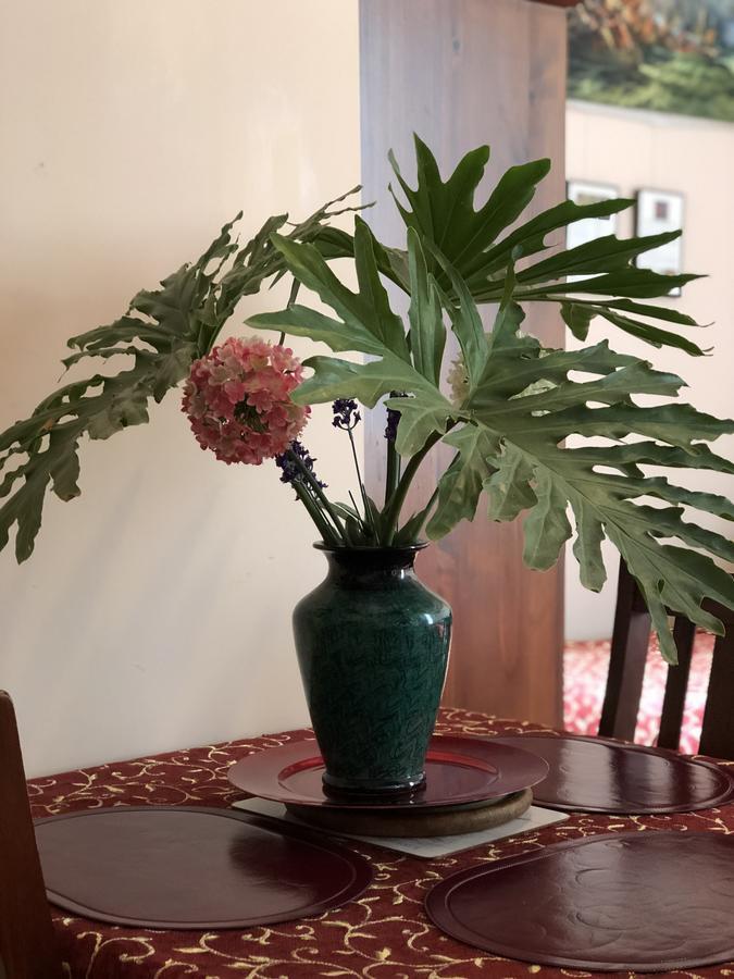 Albany Foreshore Guest House Экстерьер фото